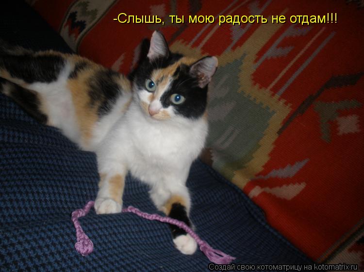 -Слышь, ты мою радость не отдам!!!... Котоматрица: -Слышь, ты мою радость не отдам!!!