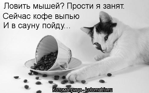 Ловить мышей? Прости я занят. Сейчас кофе выпью И в сауну пойду...... Котоматрица: Ловить мышей? Прости я занят. Сейчас кофе выпью И в сауну пойду...