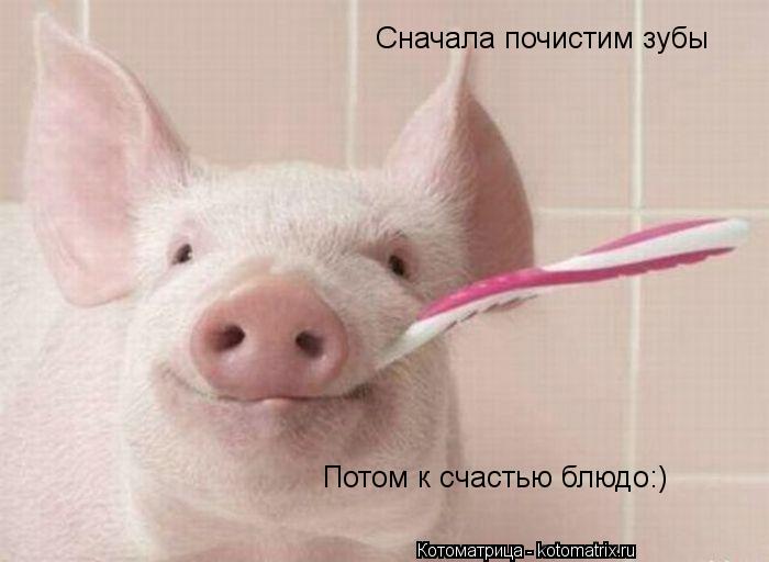 Сначала почистим зубы Потом к счастью блюдо:)... Котоматрица: Сначала почистим зубы Потом к счастью блюдо:)