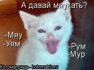 А давай мяукать? -Мяу -Мур -Рум -Уям... Котоматрица: А давай мяукать? -Мяу -Мур -Рум -Уям