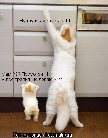 Я всё правильно делаю ??? Мам ??? Посмотри !!! Ну точно - моя дочка !!!... Котоматрица: Я всё правильно делаю ??? Мам ??? Посмотри !!! Ну точно - моя дочка !!!