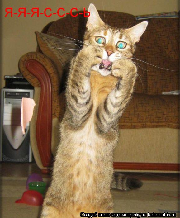 Я-Я-Я-С-С-С-Ь... Котоматрица: Я-Я-Я-С-С-С-Ь