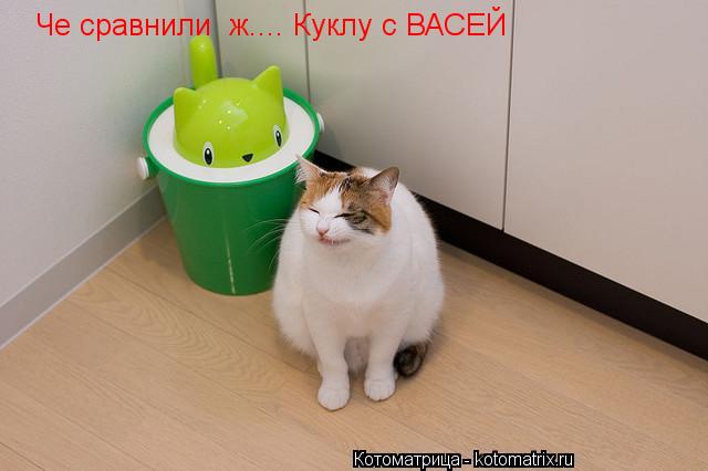Че сравнили ж.... Куклу с ВАСЕЙ... Котоматрица: Че сравнили ж.... Куклу с ВАСЕЙ