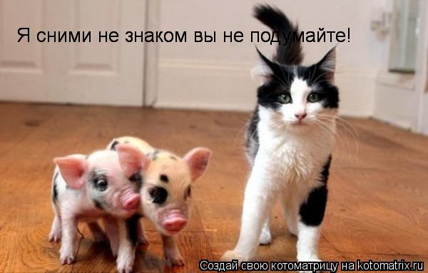 Я сними не знаком вы не подумайте! Я сними не знаком вы не подумайте!... Котоматрица: Я сними не знаком вы не подумайте! Я сними не знаком вы не подумайте!