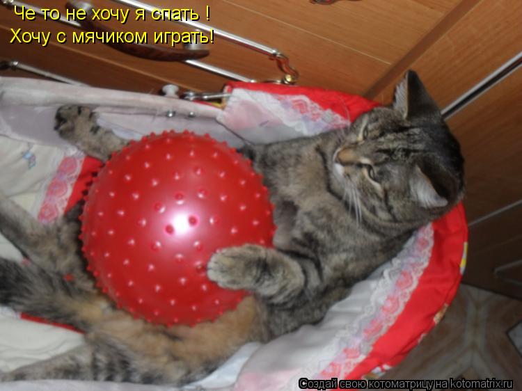 Че то не хочу я спать ! Хочу с мячиком играть!... Котоматрица: Че то не хочу я спать ! Хочу с мячиком играть!