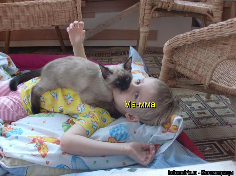 Ма-мма... Котоматрица: Ма-мма
