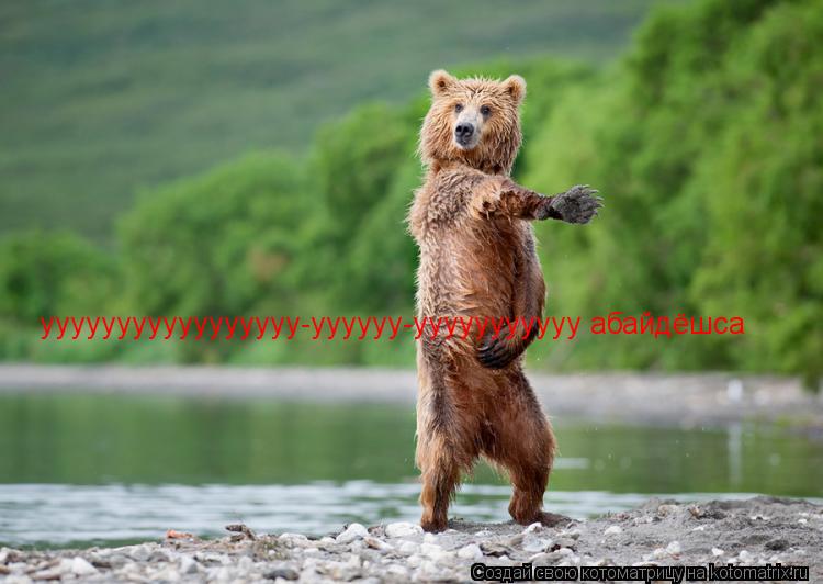 ууууууууууууууууу-уууууу-ууууууууууу абайдёшса... Котоматрица: ууууууууууууууууу-уууууу-ууууууууууу абайдёшса