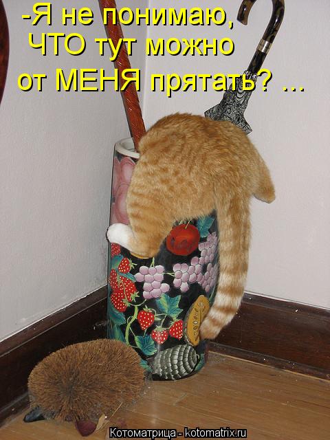 -Я не понимаю, -Я не понимаю, ЧТО тут можно от МЕНЯ прятать? ...... Котоматрица: -Я не понимаю, -Я не понимаю, ЧТО тут можно от МЕНЯ прятать? ...