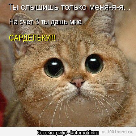 Ты слышишь только меня-я-я... На счет 3 ты дашь мне... САРДЕЛЬКУ!!!... Котоматрица: Ты слышишь только меня-я-я... На счет 3 ты дашь мне... САРДЕЛЬКУ!!!