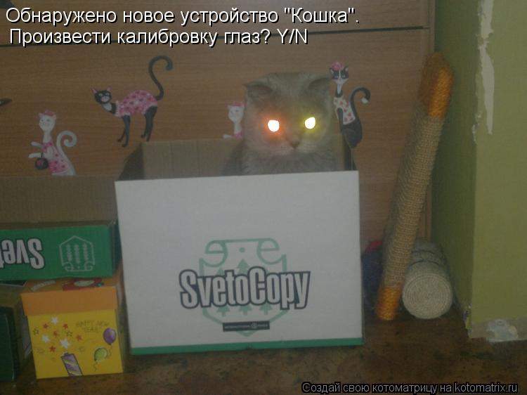 Обнаружено новое устройство "Кошка". Произвести калибровку глаз? Y/N... Котоматрица: Обнаружено новое устройство "Кошка". Произвести калибровку глаз? Y/N