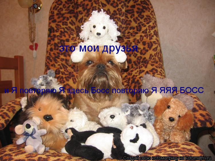 это мои друзья и Я повторяю Я здесь Босс повторяю Я ЯЯЯ БОСС... Котоматрица: это мои друзья и Я повторяю Я здесь Босс повторяю Я ЯЯЯ БОСС