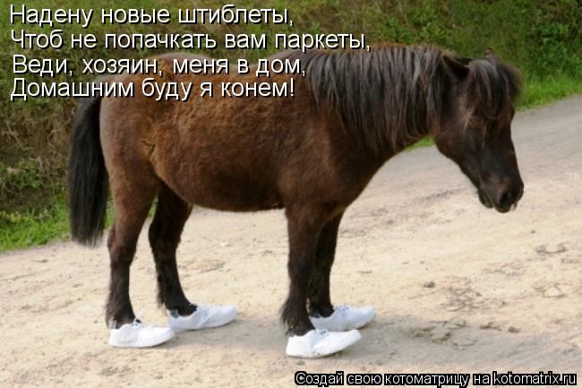 Надену новые штиблеты, Чтоб не попачкать вам паркеты, Веди, хозяин, меня в дом, Домашним буду я конем... Котоматрица: Надену новые штиблеты, Чтоб не попачкать вам паркеты, Веди, хозяин, меня в дом, Домашним буду я конем!