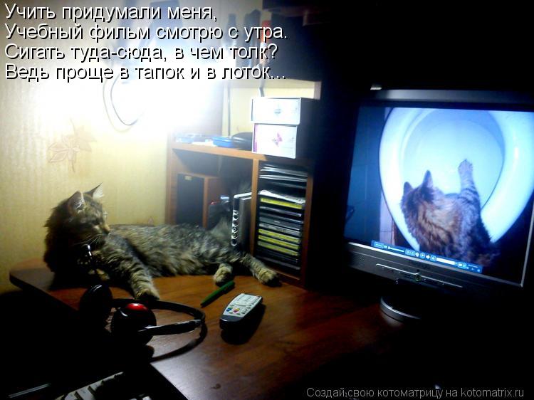 Учить придумали меня, Учебный фильм смотрю с утра. Сигать туда-сюда, в чем толк? Ведь проще в тапок и... Котоматрица: Учить придумали меня, Учебный фильм смотрю с утра. Сигать туда-сюда, в чем толк? Ведь проще в тапок и в лоток...