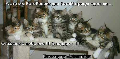 А это мы КотоКоврик для КотоМатрицы сделали ... От кошек с любовью !!! В подарок !!!... Котоматрица: А это мы КотоКоврик для КотоМатрицы сделали ... От кошек с любовью !!! В подарок !!!