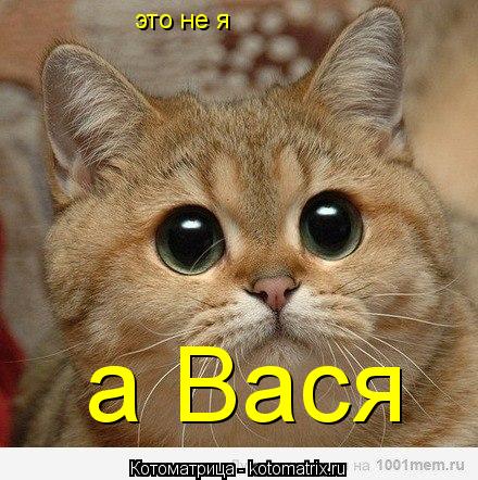 это не я а Вася... Котоматрица: это не я а Вася