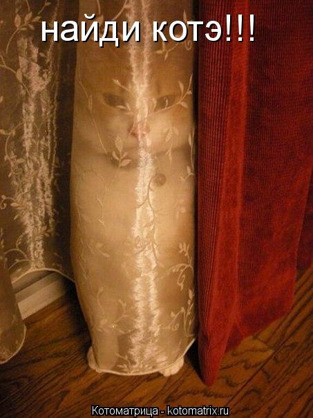найди котэ!!!... Котоматрица: найди котэ!!!