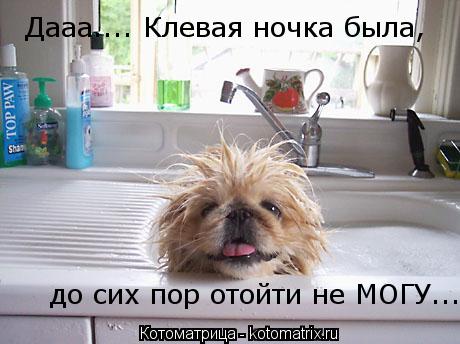 до сих пор отойти не МОГУ... Дааа.... Клевая ночка была,... Котоматрица: до сих пор отойти не МОГУ... Дааа.... Клевая ночка была,