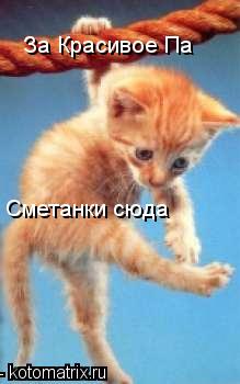 За Красивое Па Сметанки сюда... Котоматрица: За Красивое Па Сметанки сюда