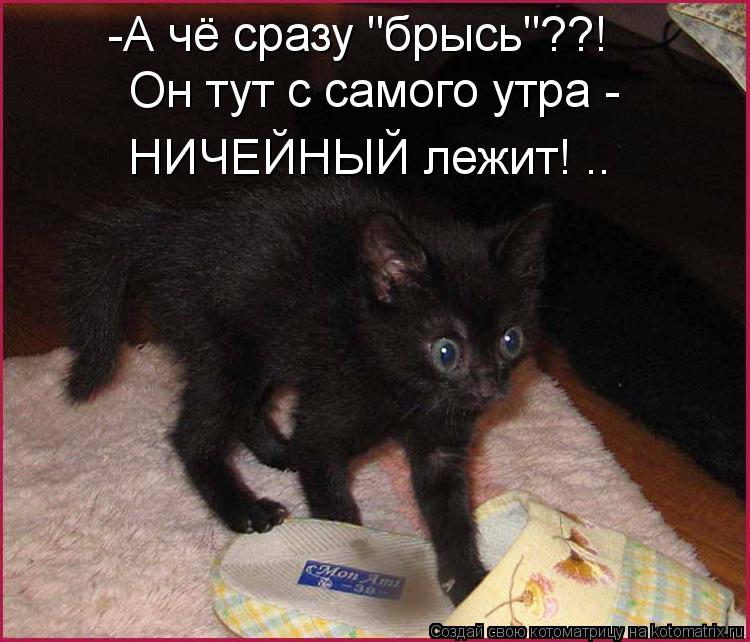Котоматрица: -А чё сразу "брысь"??! Он тут с самого утра - НИЧЕЙНЫЙ лежит! ..