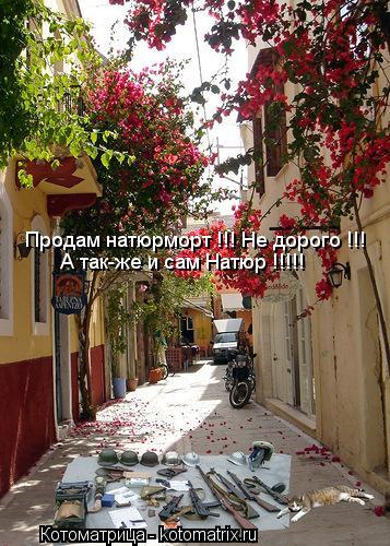 Продам натюрморт !!! Не дорого !!! А так-же и сам Натюр !!!!!... Котоматрица: Продам натюрморт !!! Не дорого !!! А так-же и сам Натюр !!!!!