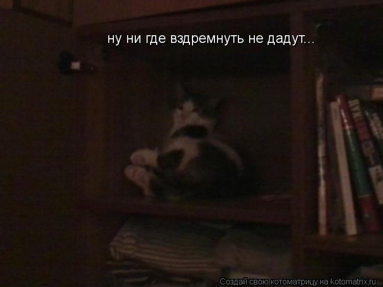 ну ни где вздремнуть не дадут...... Котоматрица: ну ни где вздремнуть не дадут...