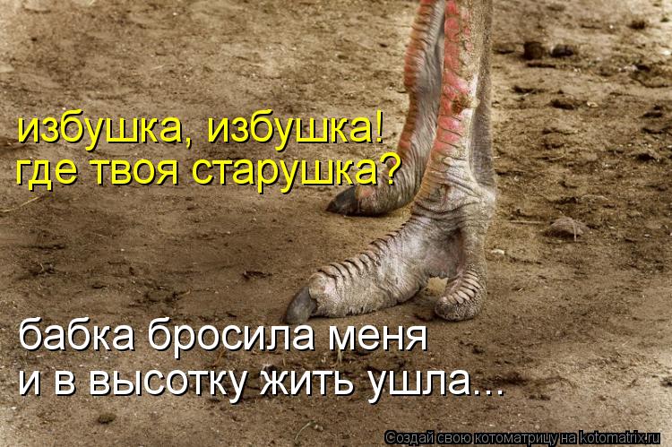 избушка, избушка! где твоя старушка? бабка бросила меня и в высотку жить ушла...... Котоматрица: избушка, избушка! где твоя старушка? бабка бросила меня и в высотку жить ушла...