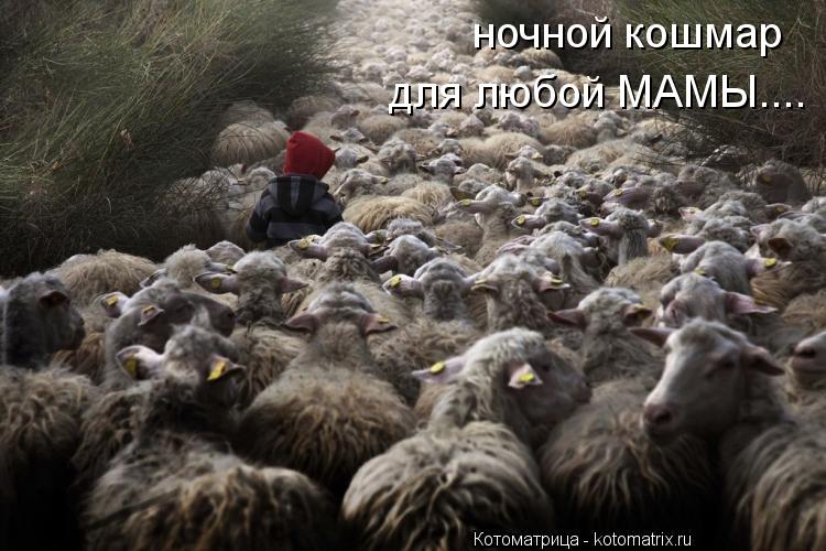 ночной кошмар для любой МАМЫ....... Котоматрица: ночной кошмар для любой МАМЫ....
