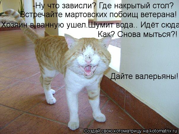 -Ну что зависли? Где накрытый стол? Встречайте мартовских побоищ ветерана! Хозяин в ванную ушел.Шумит... Котоматрица: -Ну что зависли? Где накрытый стол? Встречайте мартовских побоищ ветерана! Хозяин в ванную ушел.Шумит вода.. Идёт сюда... Как? Снова мыться?! Да