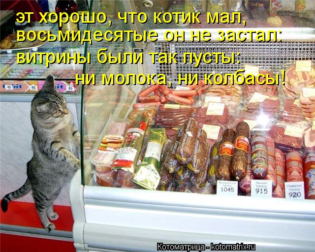 эт хорошо, что котик мал, восьмидесятые он не застал: витрины были так пусты: ни молока, ни колбасы!... Котоматрица: эт хорошо, что котик мал, восьмидесятые он не застал: витрины были так пусты: ни молока, ни колбасы!