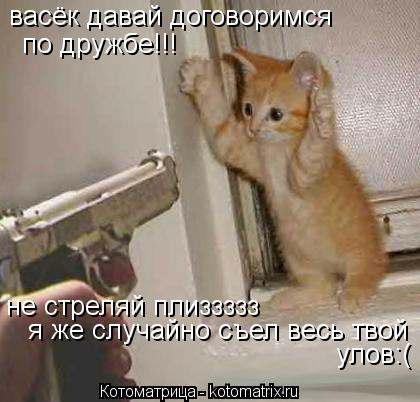 васёк давай договоримся не стреляй плиззззз я же случайно съел весь твой улов:( по дружбе!!!... Котоматрица: васёк давай договоримся не стреляй плиззззз я же случайно съел весь твой улов:( по дружбе!!!