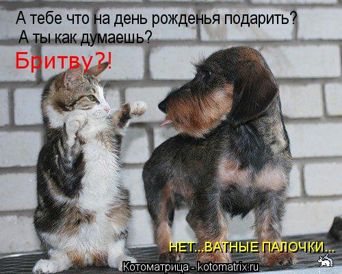 А тебе что на день рожденья подарить? А ты как думаешь? Бритву?! НЕТ...ВАТНЫЕ ПАЛОЧКИ...... Котоматрица: А тебе что на день рожденья подарить? А ты как думаешь? Бритву?! НЕТ...ВАТНЫЕ ПАЛОЧКИ...