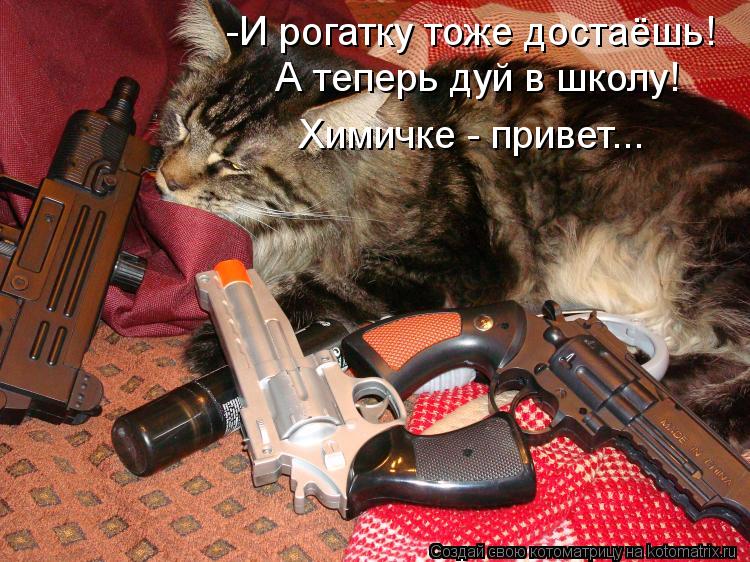 Котоматрица: -И рогатку тоже достаёшь! А теперь дуй в школу! Химичке - привет...