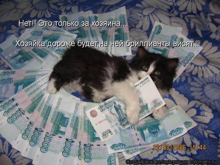 Котоматрица: Нет!! Это только за хозяина... Хозяйка дороже будет,на ней бриллианты висят...