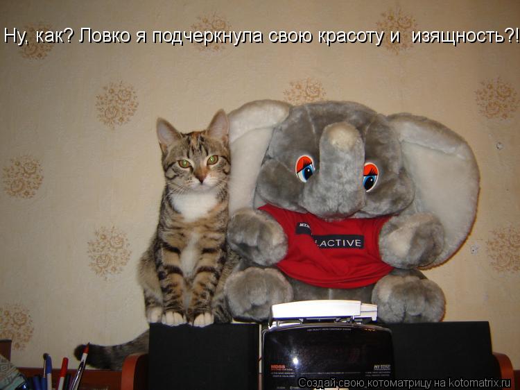 Котоматрица: Ну, как? Ловко я подчеркнула свою красоту и  изящность?!