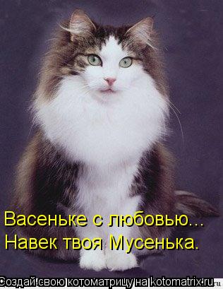 Котоматрица: Васеньке с любовью... Навек твоя Мусенька.