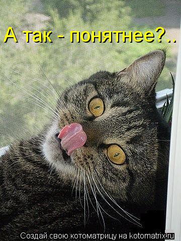 Котоматрица: А так - понятнее?..