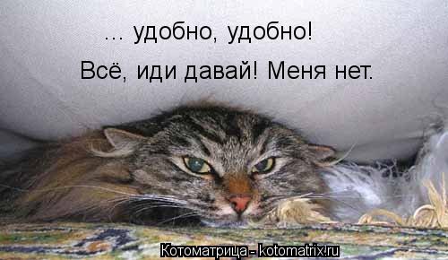 Котоматрица: ... удобно, удобно! Всё, иди давай! Меня нет.