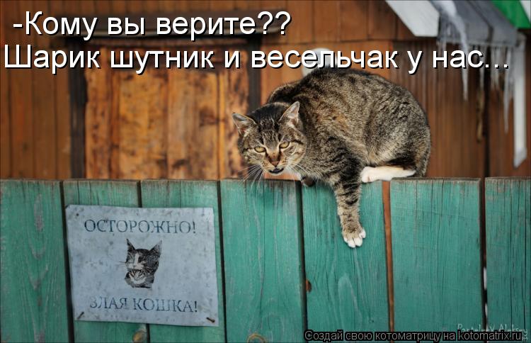 Котоматрица: -Кому вы верите?? Шарик шутник и весельчак у нас...