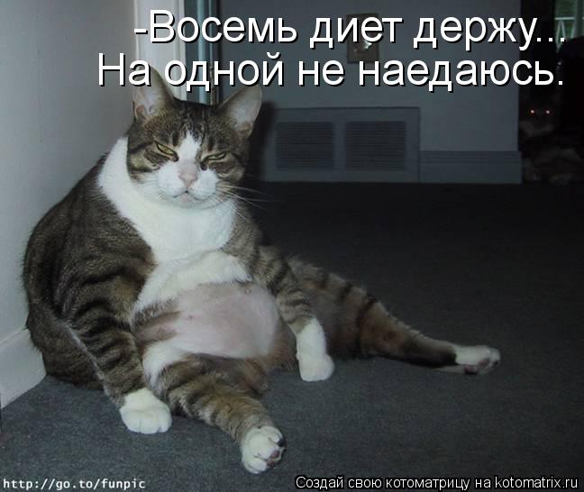 Котоматрица: -Восемь диет держу... На одной не наедаюсь.