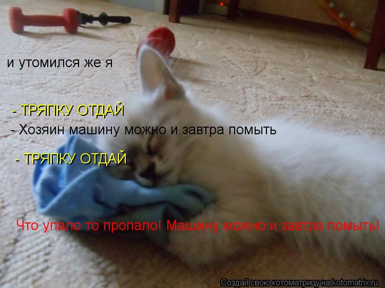 Котоматрица: и утомился же я  - ТРЯПКУ ОТДАЙ  - Хозяин машину можно и завтра помыть   - ТРЯПКУ ОТДАЙ Что упало то пропало! Машину можно и завтра помыть!