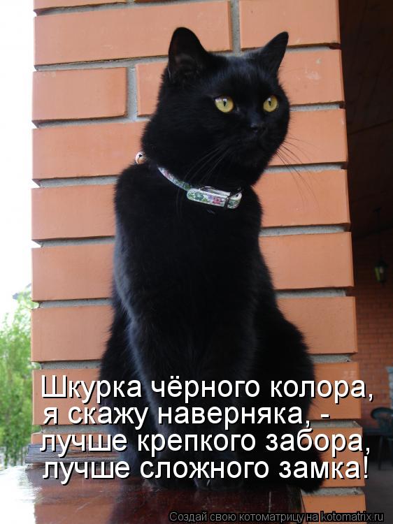 Котоматрица: Шкурка чёрного колора, я скажу наверняка, - лучше сложного замка! лучше крепкого забора,