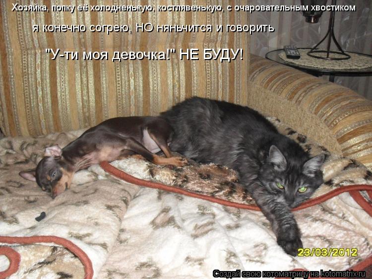 Котоматрица: Хозяйка, попку её холодненькую, костлявенькую, с очаровательным хвостиком я конечно согрею, НО няньчится и говорить Хозяйка, попку её холод