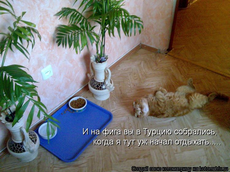 Котоматрица: И на фига вы в Турцию собрались, когда я тут уж начал отдыхать.....