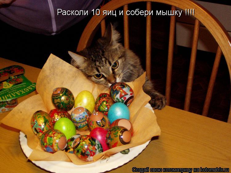 Котоматрица: Расколи 10 яиц и собери мышку !!!!