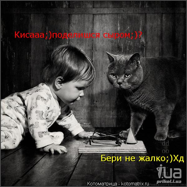 Котоматрица: Кисааа;)поделишся сыром;)? Бери не жалко;)Хд