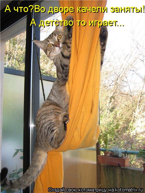 Котоматрица: А что?Во дворе качели заняты! А детство то играет...