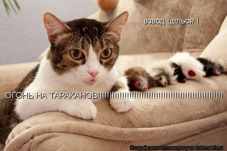 Котоматрица: взвод целься ! ОГОНЬ НА ТАРАКАНОВ!!!!!!!!!!!!!!!!!!!!!!!!!!!!!!!!!!!!!!!!!!!!!!!!!!!!