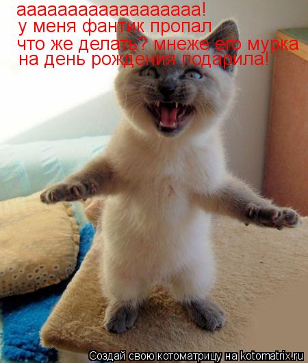 Котоматрица: аааааааааааааааааа!  у меня фантик пропал что же делать? мнеже его мурка  на день рождения подарила!