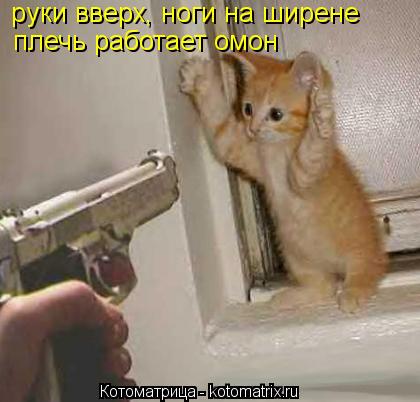 Котоматрица: руки вверх, ноги на ширене  плечь работает омон