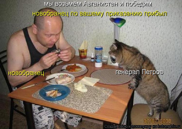 Котоматрица: мы возьмём Авганистан и победим новобранец по вашему приказанию прибыл новобранец генерал Петров